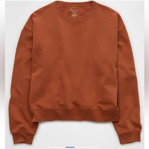 AE Cropped crewneck pullover in brown